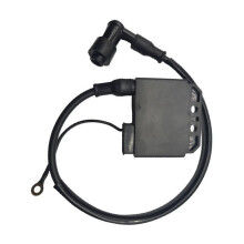 Accenditore per Motociclette, per Bobine /RIEJU/AM6, Bobina Ad Alta Pressione per Sostituzione Motore da 9.9HP, 15HP, 18HP