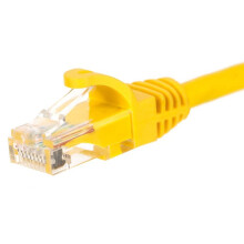 Câble de brassage RJ45, boîtier moulé Netrack, catégorie 6 UTP, 1 m, jaune