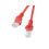 Câble de brassage Lanberg UTP cat.6 rouge de 3 m 1