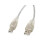 Lanberg AM-BM Ferrite USB 2.0 Kabel 1,8m Transparent 1