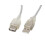 Cavo prolunga USB 2.0 Lanberg AM-AF da 1,8 m in ferrite trasparente 1