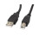 Câble USB 2.0 en ferrite Lanberg AM-BM 0,5 m Noir 1