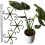 Support pour plantes et fleurs Support de serrage robuste avec tige L 20 3x 1