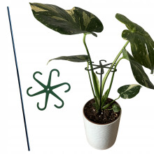 Support pour plantes et fleurs - Support Ă pince robuste avec tige M 15 cm