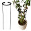Støttering til blomsterplanter Klemme til støttering SM 60x10cm 1