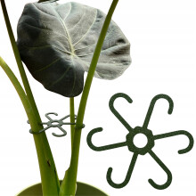 Support pour plantes et fleurs, support pour supports, pince robuste M 15 cm