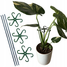 Støtte til planter og blomster Støtte Støtte STRONG Griber med stang M15cm x3