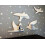 Birds Elegance polcok 1