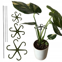 Support pour plantes et fleurs - Support de fixation robuste avec tige SML 3x