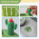 (Green, -) 2 passoires cactus, vert+jaune 3