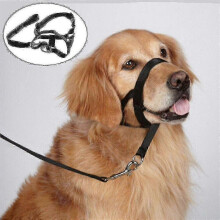 (L) Adjustable Dog Halter Training Head Collar - Anti-Chewing Pet Accessory for Safe Walking_qlsg