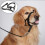 (L) Adjustable Dog Halter Training Head Collar - Anti-Chewing Pet Accessory for Safe Walking_qlsg 1