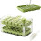 (Green 56 squares, -) Μεγεθυντικός φακός 12 ιντσών, τηλέφωνο 8