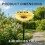 (XS-Sunflower-Yellow, -) Φύλλο καρύδας, φιλικό προς το περιβάλλον 2