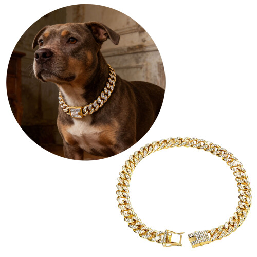 Collier de chien élégant de Styles cubains avec des-Argent 40 2