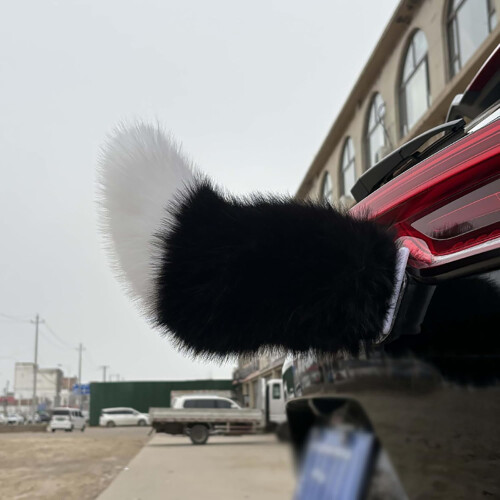 (Color E, -) Remote Control Electric Furry Car Tail, Adjustable Speed Colour G 1
