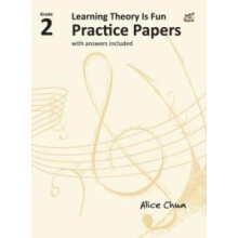 Learning Theory is Fun Practice Papers Grade 2 by Alice Chua Paperback