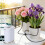 Équipement d'irrigation de jardin innovant avec notification-c 6