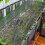 (100pcs, -) 50 clips bâche, ronds 5