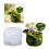 Silikon-Blumentopfform, Sukkulenten, Übertopfform, Frösche, 2