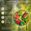 (#a, -) Puzzle suncatcher colibri, A 5