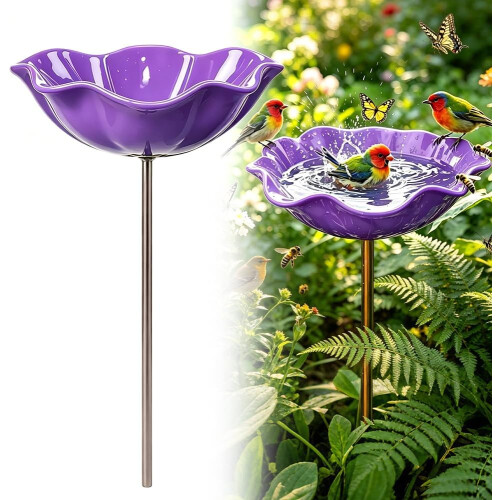 (Purple, -) Σετ, Ξεσκονόπανο 2