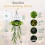 (2Pcs, -) 2026 2Pcs Solar-Powered Hanging Milan Grass Light, IP65 3