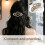 (K, -) 4 pinces cheveux, H 7