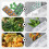(10Pcs, Medium) 30 sacs aluminium, medium 6