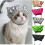 Comfortable Waterproof Cats Hat Shower Cap Design For-Green S 3