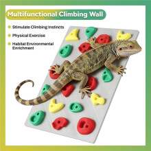 Climbing Wall for Reptiles, Terrarium Tank Decor for Bearded Dragons, Geckos, Snakes, Frogs