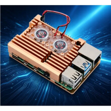 Pour Boîtier en Aluminium pour Raspberry Pi 4 avec Double Ventilateur de Refroidissement Coque en Métal Enveloppe Dorée pour Boîtier RPI pour