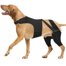 Back Leg Stabilizer For Ligament Injuries With Comfortable-XXL