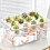 Practical Hydroponic Arrangement For Home Gardeners Who-White 10