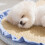 Cats Bed Soft Cushions for Small Medium Large Cats-Yellow M 11