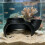Abri en forme de Pot Unique, grotte sous-marine, maison,-Beige 8