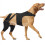 Pet Back Leg Support Stabilizer For Improved Mobilities And-L 1