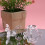 Base d'exposition artistique en plastique, support d'orbe pour-S 7