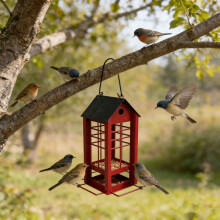 Fournisseur d'oiseaux sauvages suspendus résistant à -Bleu
