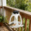 Natural Sun Functioning Wildlife Nourishment Unit With-White 3