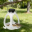 Natural Sun Functioning Wildlife Nourishment Unit With-White 6