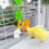 Entertaining Rotating Windmill Bird Toy for Boredom Parrots 8