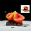 Harz-Korallenriff-Statue, Aquarium, dekorative-Rosa 8