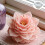 Calendula Silicone Molds Multipurpose Silicone Mould for 8