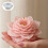 Calendula Silicone Molds Multipurpose Silicone Mould for 9