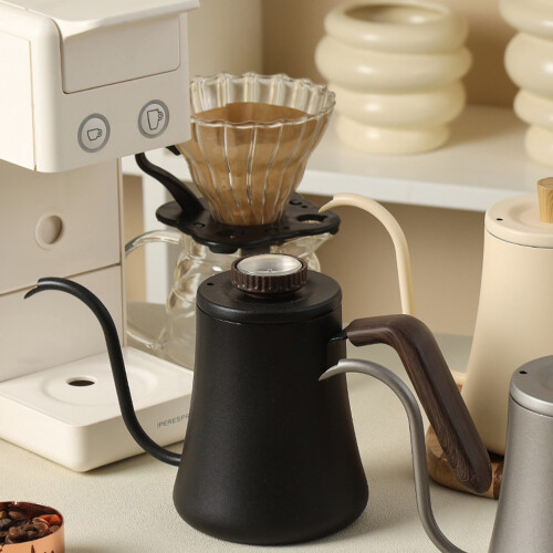 Moderne Kaffeekanne 600 ml mit ergonomischem Griff und-Silber 1