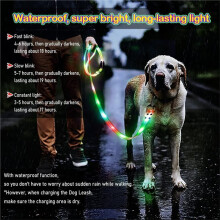 Laisse pour Chien Étanche à LED, Rechargeable par USB, Phosphorescente, Accessoire de Sécurité pour les Promenades Nocturnes des Chiens de Taille