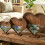 Seashells Holders Shadows Box Wooden Seashells Display-20X18cm 8