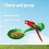 Green Perch Stand For Small Birds Feeding Bowl Training-Yellow 9