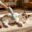 Full Animal Grooming Package Operates On interlaced And-Lvse 2